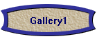 Gallery1